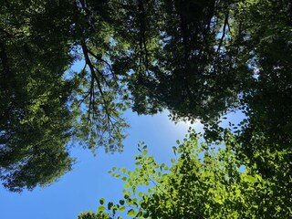 Holiday house Olsberg Environment 37