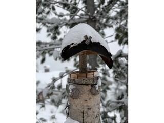 Appartamento per vacanze Hochkrimml Registrazione all'aperto 5