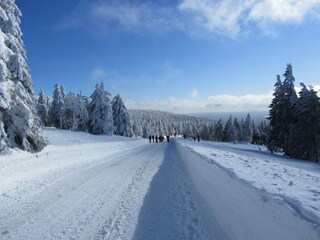 Maison de vacances Wernigerode Environnement 22