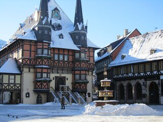 Casa de vacaciones Wernigerode Entorno 21