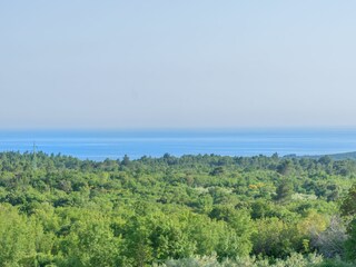 Maison de vacances Sveti Lovreč Labinski Environnement 36