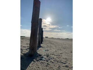 Appartamento per vacanze St. Peter-Ording Ambiente 31