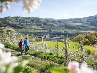 Appartamento per vacanze Brixen Ambiente 25