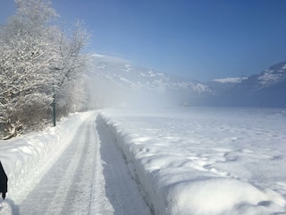 Winter Wanderung