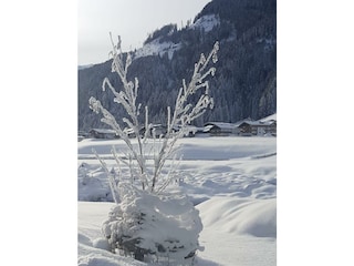 Winterlandschaft