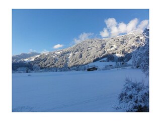 Ausblick