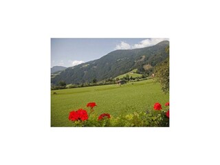 Aussicht