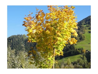 Urlaub zu jeder Jahreszeit