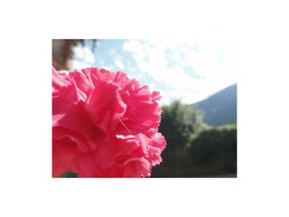 Ruhe ... Stille ... Erholung pur