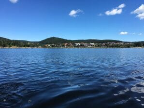 Ferienwohnung Freund - Schluchsee - image1