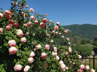 Casa per le vacanze Prelà Registrazione all'aperto 5