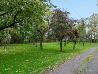Ferienwohnung Campen Außenaufnahme 31