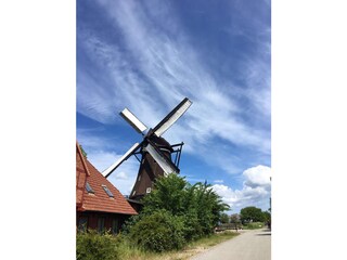 Mühle in Lemkenhafen