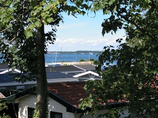 Ferienhaus Velduil 62 Ausblick von der dachterasse