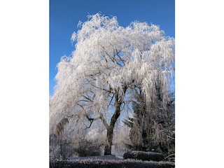 Ferienhaus Velduil 62 Winterimpression