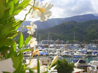 Holiday apartment Spanien Environment 36