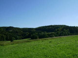 Grüne Wälder und saftige Wiesen