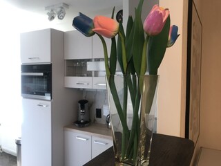 Vakantieappartement Egmond aan Zee Kenmerken 10
