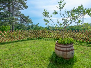 Casa de vacaciones Sveta Nedelja Entorno 30