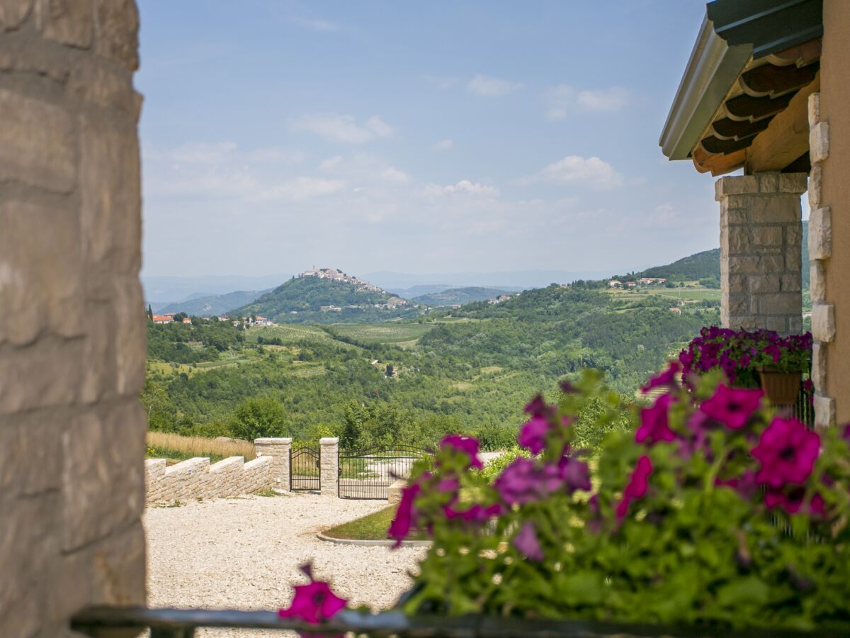 Blick auf Motovun