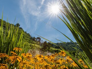 Appartamento per vacanze Meran Registrazione all'aperto 11