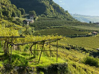 Appartamento per vacanze Meran Ambiente 31