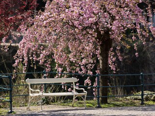 Appartamento per vacanze Meran Ambiente 36