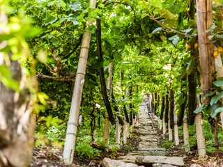 Appartamento per vacanze Meran Registrazione all'aperto 10