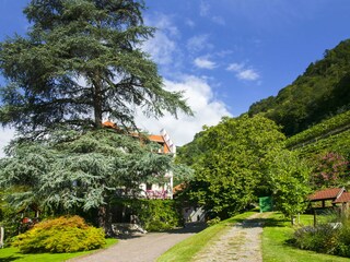 Appartamento per vacanze Meran Registrazione all'aperto 12