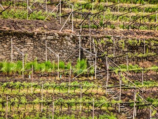 Appartamento per vacanze Meran Registrazione all'aperto 16