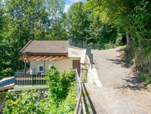 Gemütliches und alleinstehendes Ferienhaus am Wildkogel - Bramberg am Wildkogel - image1