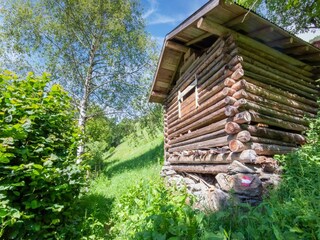 Casa per le vacanze Bramberg am Wildkogel Registrazione all'aperto 5