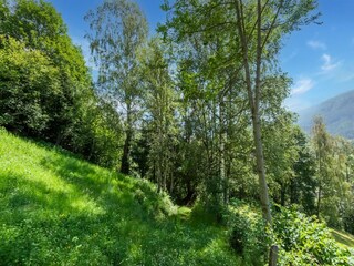 Casa per le vacanze Bramberg am Wildkogel Ambiente 24
