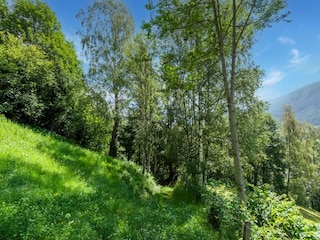 Ferienhaus Bramberg am Wildkogel Umgebung 22