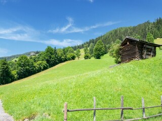 Ferienhaus Bramberg am Wildkogel Umgebung 22