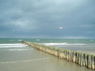 Am Strand "Foto im Februar aufgenommen"