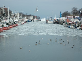 Der "Strom" im Winter