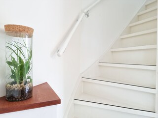 Casa per le vacanze Vlissingen Caratteristiche 19