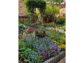 Blick in den Garten