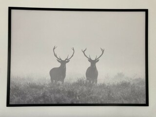 Villa Biddinghuizen Caratteristiche 13