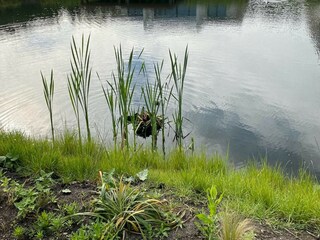 Villa Biddinghuizen Grabación al aire libre 5