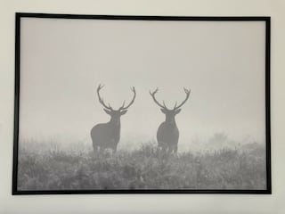 Villa Biddinghuizen Ausstattung 29