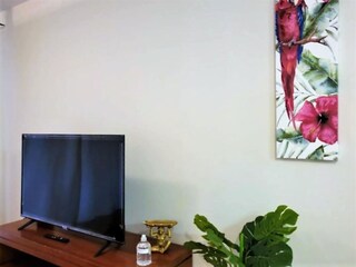 Apartamento Vera Playa Características 9