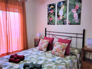 Appartamento Vera Playa Caratteristiche 33