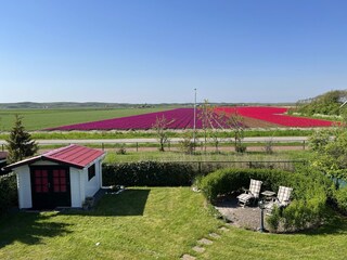 Casa per le vacanze Callantsoog Registrazione all'aperto 5