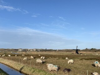 Casa per le vacanze Callantsoog Ambiente 48