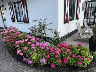 Casa per le vacanze Callantsoog Caratteristiche 38