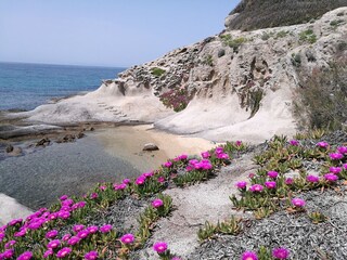 Cotoncello- Strand im Fruehjahr