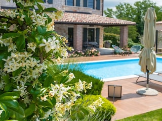 Villa Višnjan Environment 33