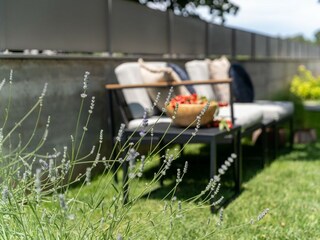 Villa Novigrad (Istrien) Buitenaudio-opname 15